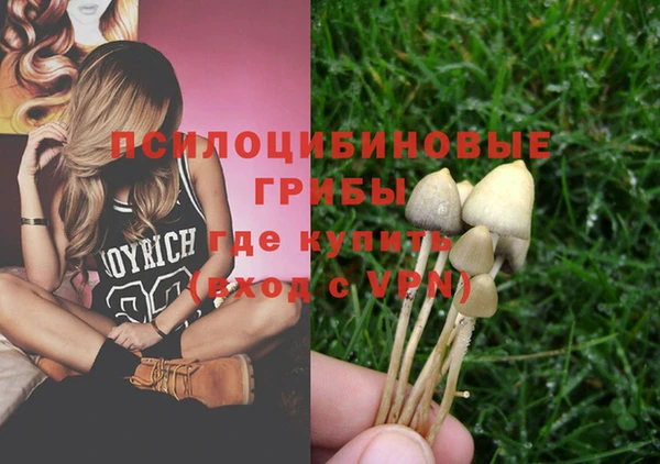 спайс Осинники