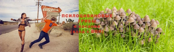 прущая мука Остров
