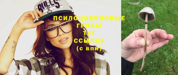 прущая мука Остров
