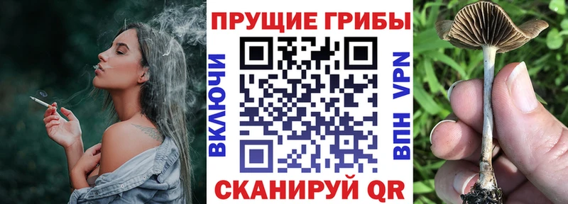 Галлюциногенные грибы мухоморы  Зеленоградск 